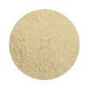 Naturaplaza Acerola Poeder Biologisch New