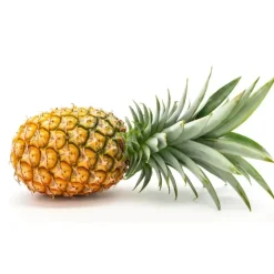 Naturaplaza Ananas Granulaat 3-5 mm Biologisch Clearance