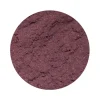 Naturaplaza Aronia Bessen Pulp Poeder Biologisch Hot