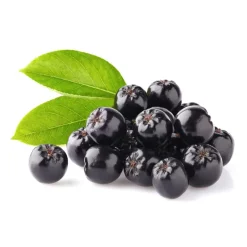Naturaplaza Aronia Bessen Pulp Poeder Biologisch Hot