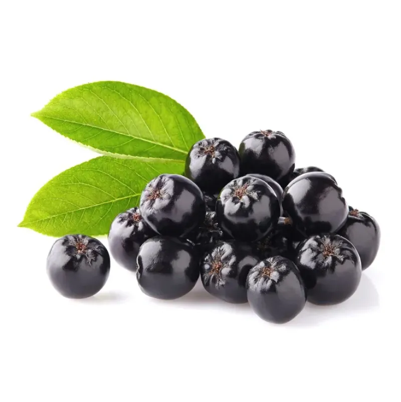 Naturaplaza Aronia Bessen Pulp Poeder Biologisch Hot