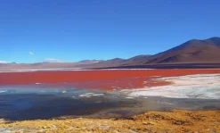 Naturaplaza Boliviaans Rozenzout Fijn 0.1-0.3 mm Sale