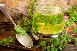Naturaplaza Brahmi Poeder Biologisch Outlet