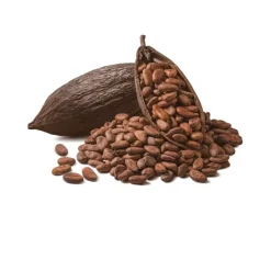 Naturaplaza Cacaobonen Raw Biologisch Sale