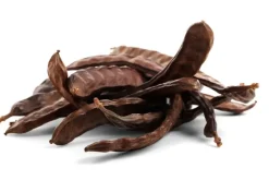 Naturaplaza Carob Poeder Biologisch Discount