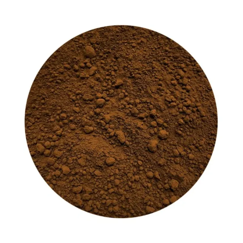 Naturaplaza Chaga Paddenstoelen Poeder Biologisch Sale