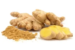 Naturaplaza Citroen Gember Poeder kiemarm Biologisch New
