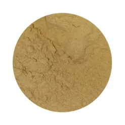 Naturaplaza Cordyceps Sinensis Paddenstoel Poeder Biologisch Discount