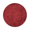 Naturaplaza Frambozenpoeder Gevriesdroogd Biologisch New