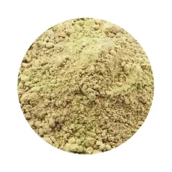 Naturaplaza Gember Poeder kiemarm Biologisch New
