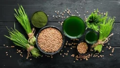 Naturaplaza 5-Greens Sap Concentraat Poeder Biologisch Hot