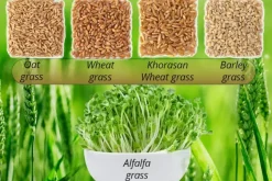 Naturaplaza 5-Greens Sap Concentraat Poeder Biologisch Hot