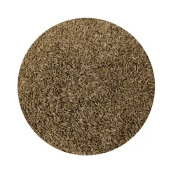 Naturaplaza Karwijzaad Biologisch Clearance