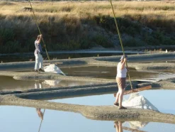 Naturaplaza Keltisch Zeezout Grof Droog 2-4 mm Fashion