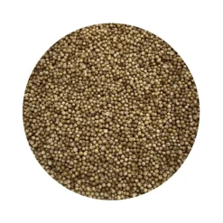 Naturaplaza Koriander Heel kiemarm Biologisch Online