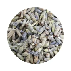 Naturaplaza Lavendelbloesem Biologisch Discount