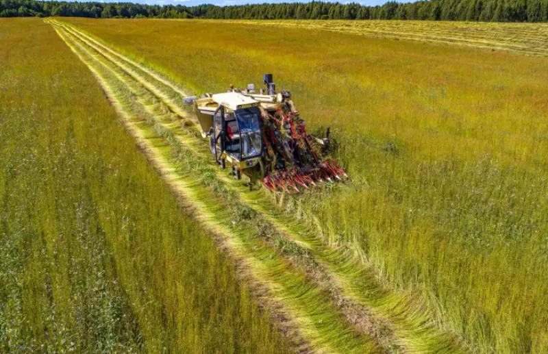 Naturaplaza Lijnzaad gemalen Biologisch Best