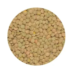 Naturaplaza Linzen Groen Laird Biologisch Sale