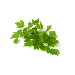Naturaplaza Maggikruidblad Lavas Poeder Biologisch Hot
