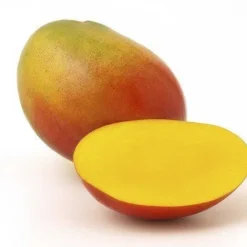 Naturaplaza Mango Granulaat 0-5 mm Biologisch Discount