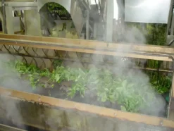 Naturaplaza Matcha Poeder Biologisch Hot