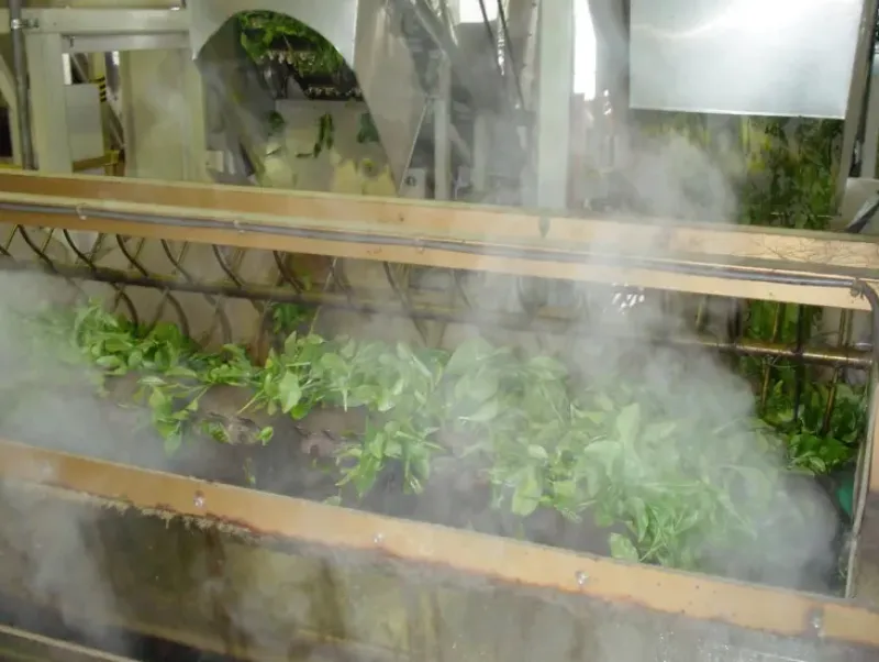 Naturaplaza Matcha Poeder Biologisch Hot