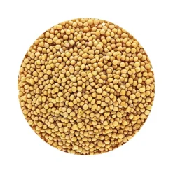 Naturaplaza Mosterdzaad Heel Geel erucazuur arm Biologisch Clearance