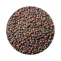 Naturaplaza Mosterdzaad Heel Zwart Brassica Nigra Biologisch Clearance