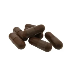 Naturaplaza Nutrikraft - Chaga Capsules Biologisch Sale
