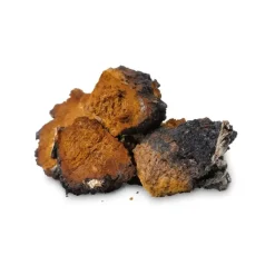 Naturaplaza Nutrikraft - Chaga Capsules Biologisch Sale