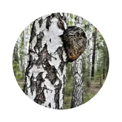 Naturaplaza Nutrikraft - Chaga Capsules Biologisch Sale