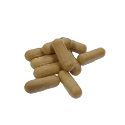 Naturaplaza Nutrikraft - Cordyceps Paddenstoel Capsules Biologisch Hot