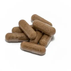 Naturaplaza Nutrikraft - Guarana Capsules 500mg Biologisch Best