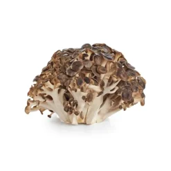 Naturaplaza Nutrikraft - Maitake Capsules Biologisch Hot