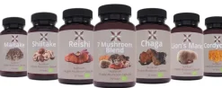 Naturaplaza Nutrikraft - Maitake Capsules Biologisch Hot