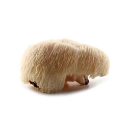 Naturaplaza Nutrikraft - Pruikzwam (Lion's Mane) Capsules Biologisch Outlet