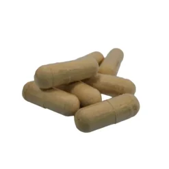 Naturaplaza Nutrikraft - Shiitake Capsules Biologisch Discount