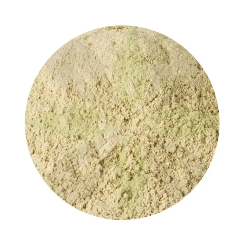 Naturaplaza Oesterzwam Poeder Pleurotus ostreatus Biologisch Discount
