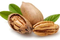Naturaplaza Pecannoten Biologisch Outlet