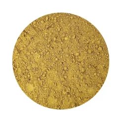 Naturaplaza Pompoenpitten Poeder Biologisch Hot
