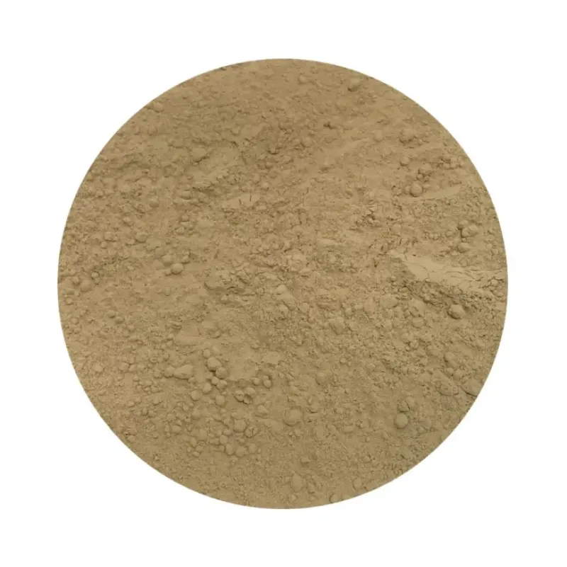 Naturaplaza Pruikzwam Poeder Lionsmane Hericium Biologisch Outlet