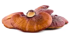 Naturaplaza Reishi Granulaat 5x5 mm Biologisch Discount