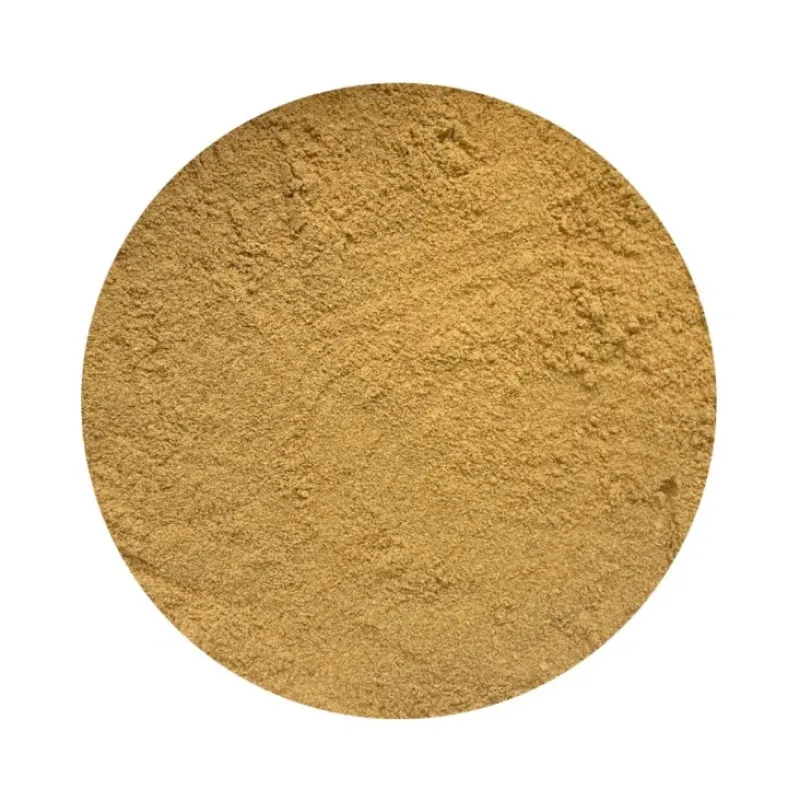 Naturaplaza Rozenbottel poeder Biologisch Online