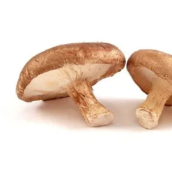Naturaplaza Shiitake Granulaat 1-3 mm Biologisch Best