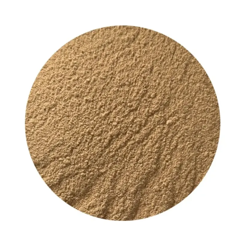 Naturaplaza Shoyu Sojasaus Poeder Biologisch Outlet