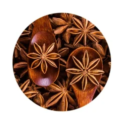 Naturaplaza Steranijs heel Biologisch Sale