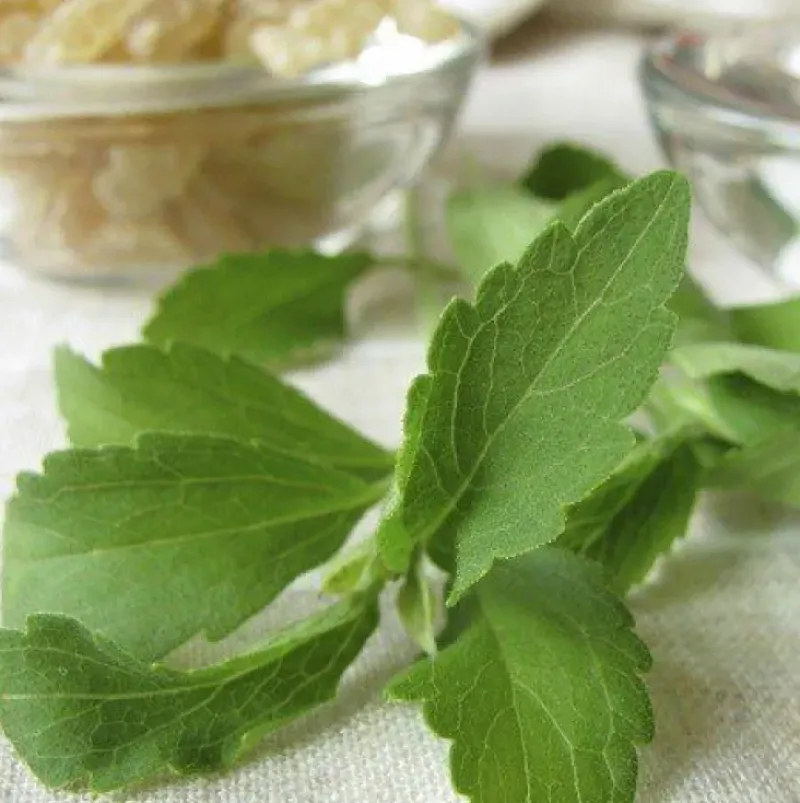 Naturaplaza Stevia Extract Poeder RebA97 Hot