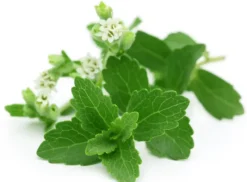 Naturaplaza Stevia Extract Zoetjes RebA97 Fashion