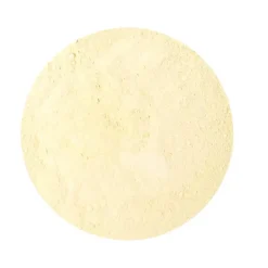 Naturaplaza Trilzwam Poeder Tremella fuciformis Biologisch Hot