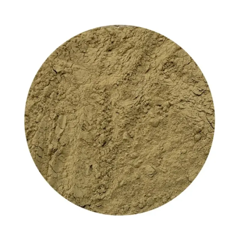 Naturaplaza Triphala Poeder Biologisch New